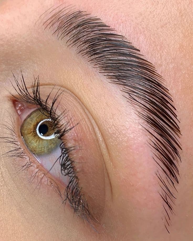 Eyebrow Lamination